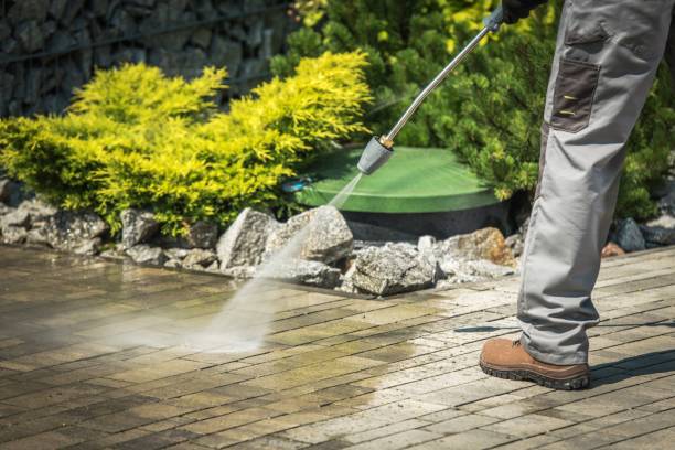 Trusted Meadow Woods, FL Pressure Washing Experts